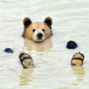 Meet your Posher, Valerie